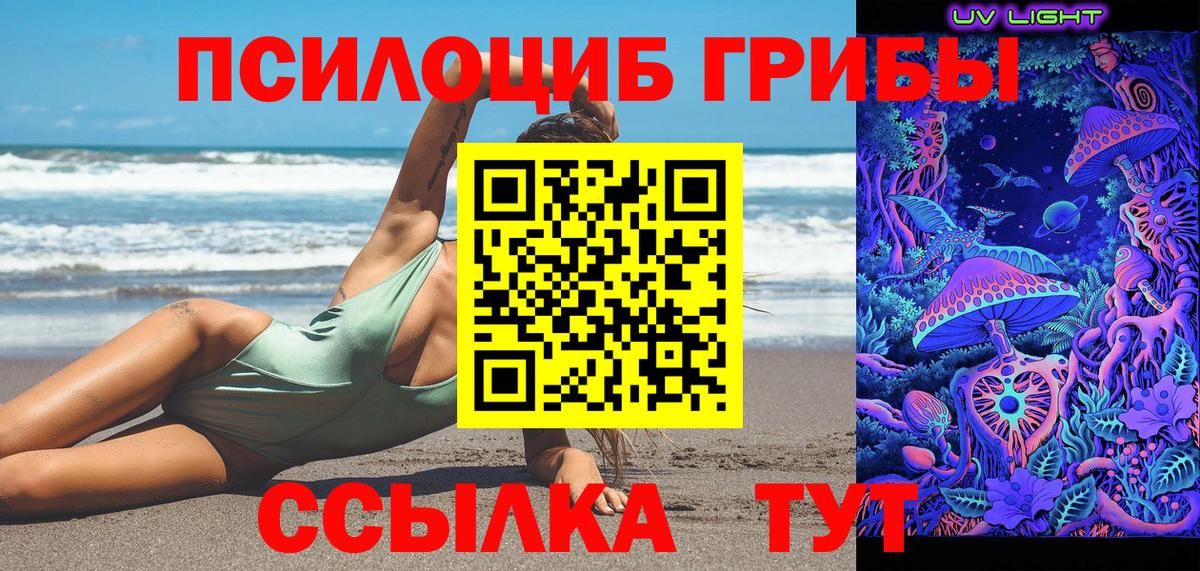 Псилоцибиновые грибы GOLDEN TEACHER  Галлюциногенные грибы Psilocybine cubensis  Вход с VPN  Усолье-Сибирское 