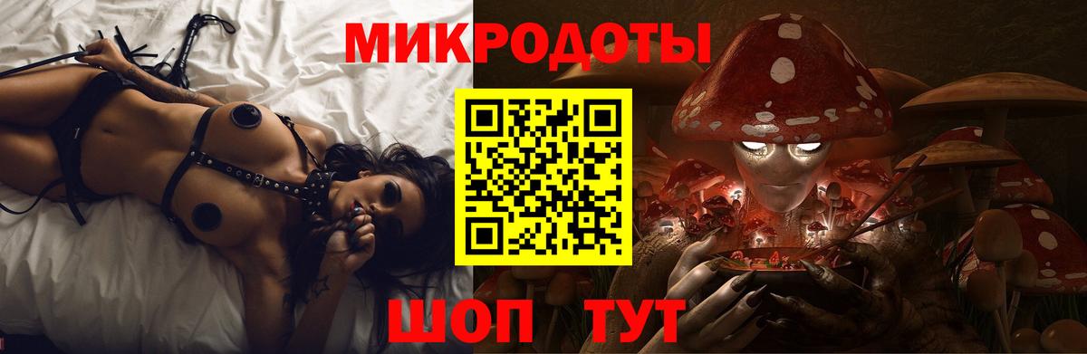 Псилоцибиновые грибы Psilocybe Усолье-Сибирское